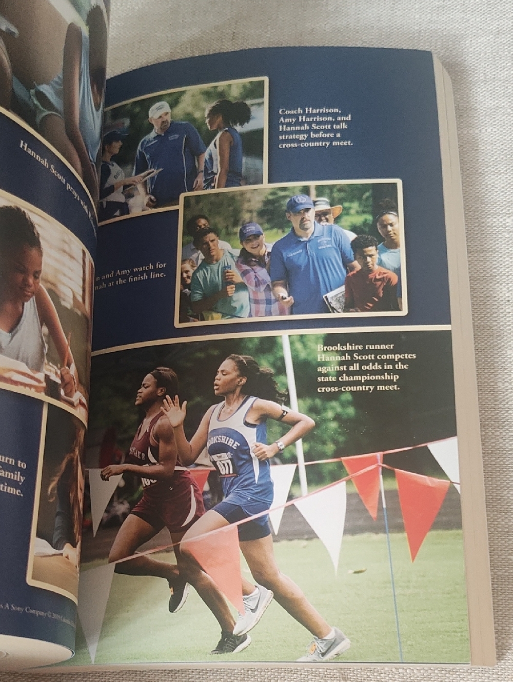 SPRING READING: OVERCOMER - Picture 7 of 9